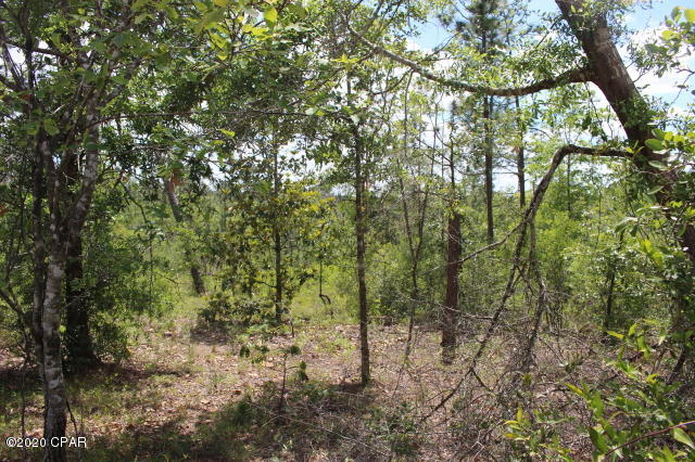 Compass Lake In The Hills - Land