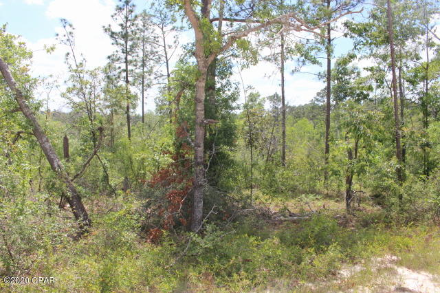 Compass Lake In The Hills - Land