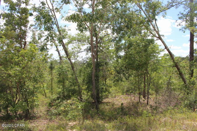 Compass Lake In The Hills - Land