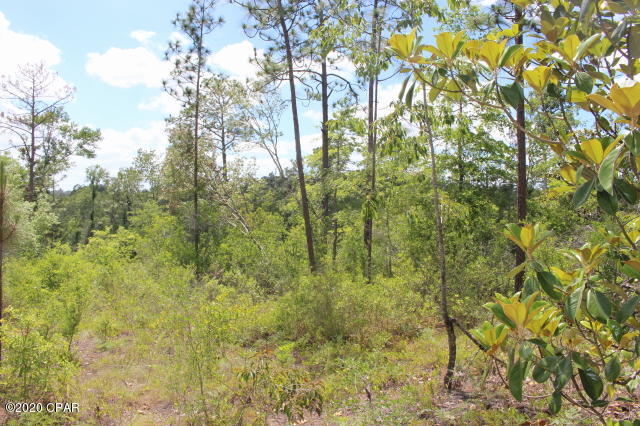 Compass Lake In The Hills - Land