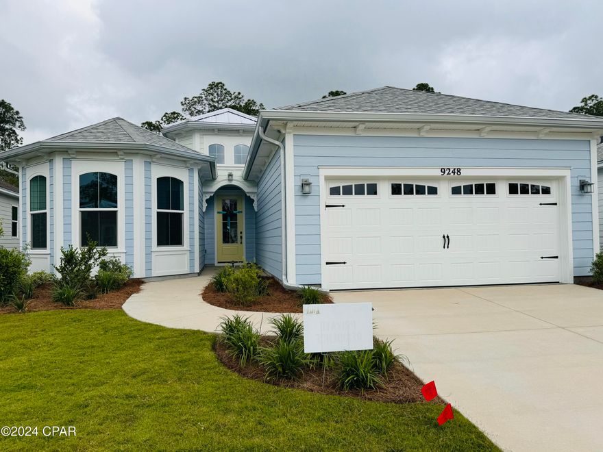 New Construction, Beach Collection,  Parrot