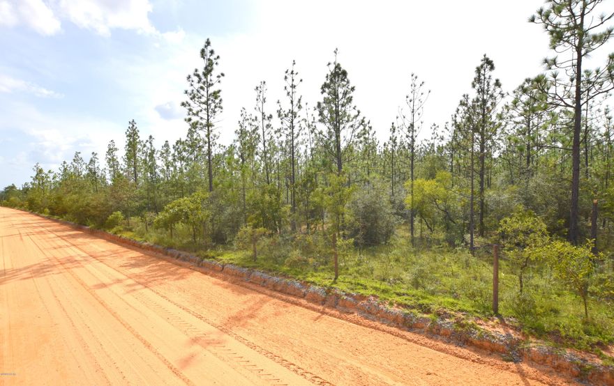 With over 41 acres of planted pines this rare find would be a great homesite, hunting retreat or investment property. Conveniently situated on a corner lot this tract is located just minutes from Hwy 77 and approximately 30 minutes to Panama City.
