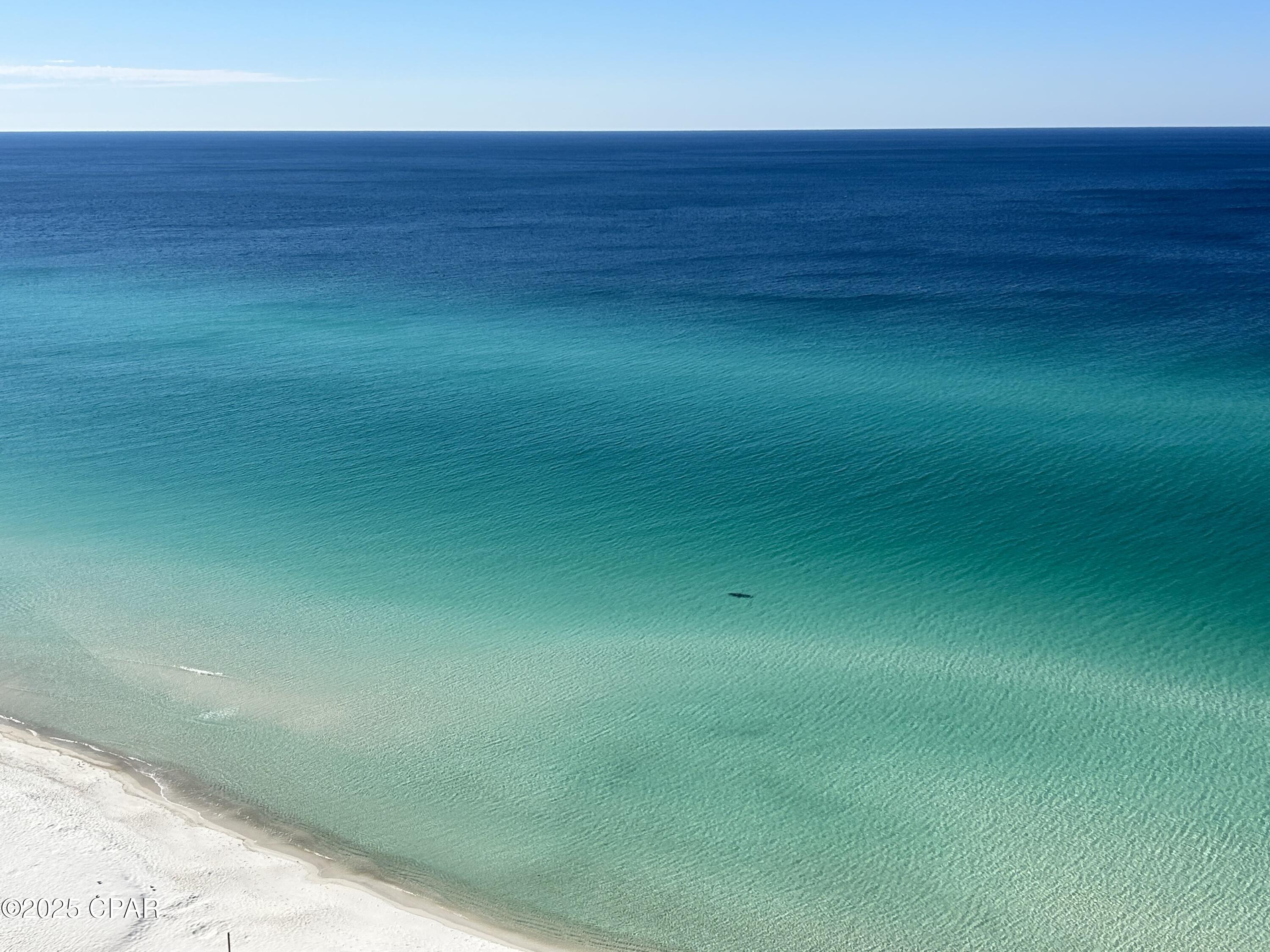 Palazzo - Residential