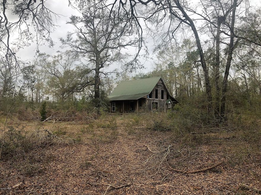 Looking for a great piece of land?  This is it!  Would be great for many purposes: a home site or a getaway.  Property features an unpermitted structure.  There is also an old well and septic, but there is no guarantees and should be inspected at buyers expense.