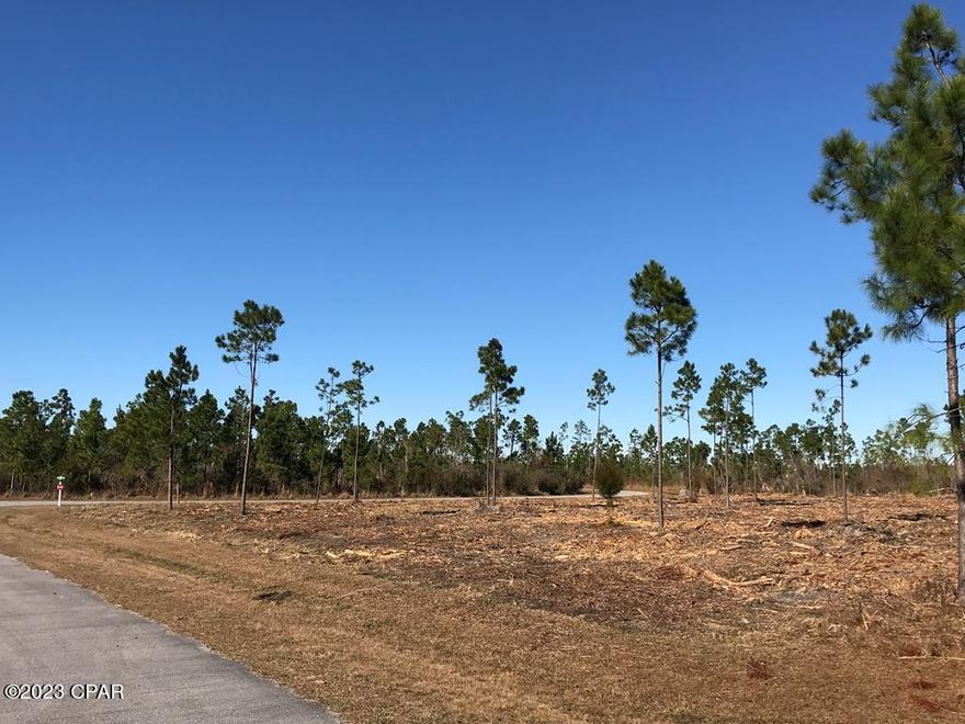 TRANQUIL 2.12 ACRE lot CLEARED and ready for building the HOME of your DREAMS-there's room for POOL, Poll Barn, Workshop, Gym and still maintain PRIVACY-this is country living at its Finest-where Nature is Preserved. Developed along Wetappo Creek and includes: 2 Stocked Ponds, a Community Clubhouse and a Private Boat Ramp with Docking. Enjoy the Wildlife and Serenity on the Creek while boating, kayaking or paddle boarding. Flowing into the Intracoastal Waterway, the creek allows deep water access to the Gulf-aqua waters & pristine white sand beaches hidden on Florida's Panhandle. Order the fresh catch of the day while dining in these Charming Coastal Towns OR catch then cook it back at HOME! Red Snapper, Mackerel, Scallops! Come see! Have an Agent show then bring your offer Today-these wont last!