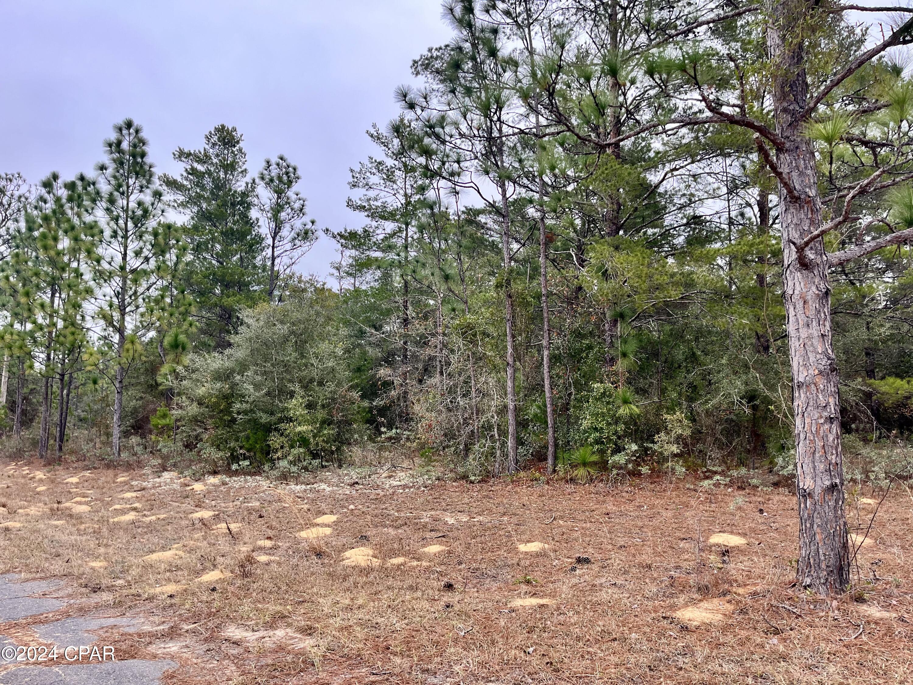 Sunny Hills Unit 1 - Land