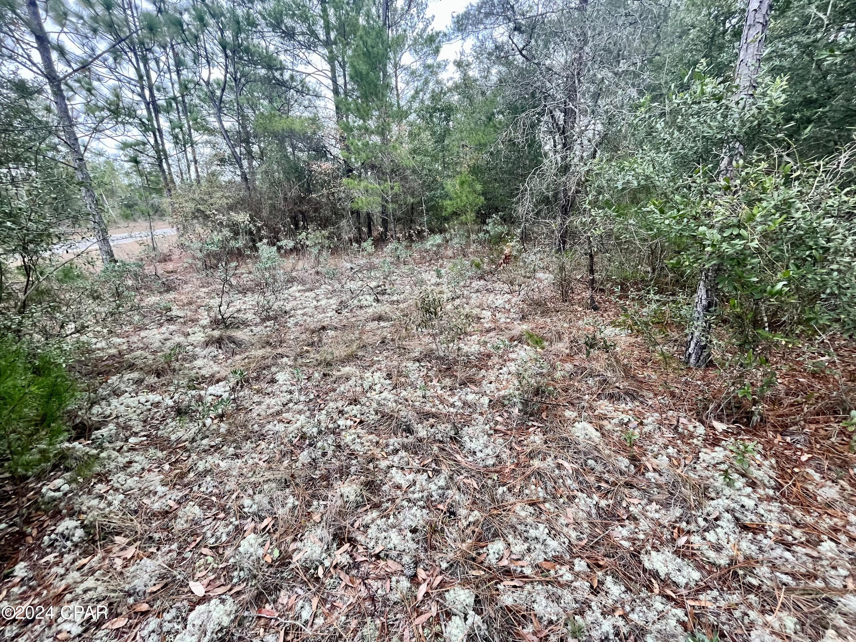 Sunny Hills Unit 1 - Land