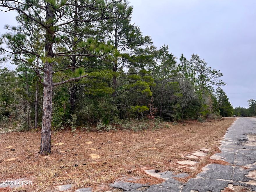 Fantastic corner lot located in Unit 1 of the Sunny Hills golf community. This lot is high and dry and very close to Hwy 77 and Shenandoah Blvd. Nice houses are nearby and some are being built a few lots down from this one. According to US Water Services there is water available on this street and there is also power running on the street. (buyer to verify availability of utilities). No sewer service is available in the community so a septic system would have to be installed. This area has been booming with residential development in the last year and is ready for more. Sunny Hills is home to the county's first golf course and 26 lakes/ponds, including gorgeous Gap Pond and Boat Lake, a swim park on a spring-fed lake. There are 5 boat landings in the community. Sunny Hills is deed restricted, no mobile homes. No HOA fee, but a yearly MSBU assessment of less than $40. Enjoy the slower pace of life this area has to offer and significantly lower taxes. This lot is in a great location in the community! Seller is paying for title so that saves a buyer on closing costs!