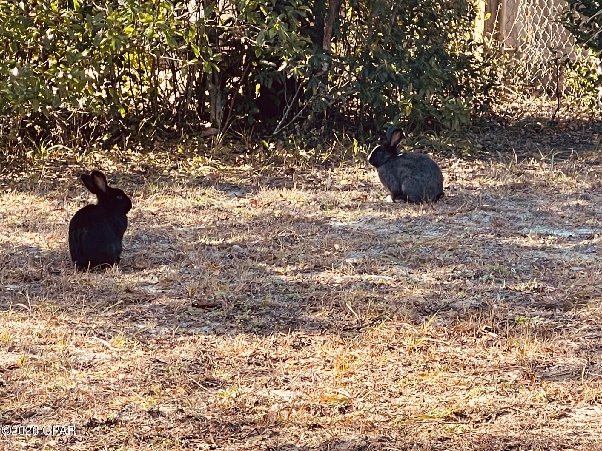 Pine Ridge Estates - Residential