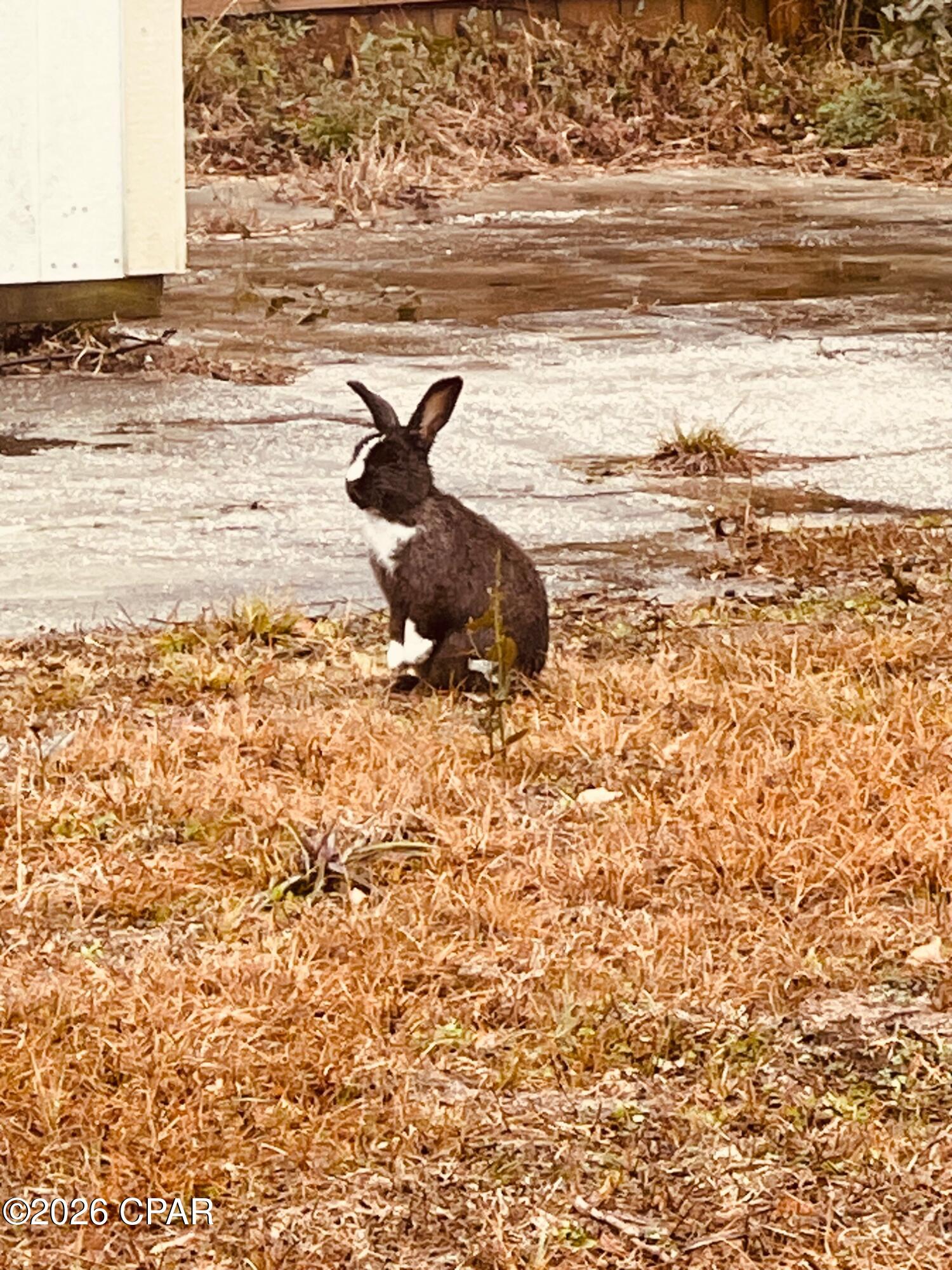 Pine Ridge Estates - Residential