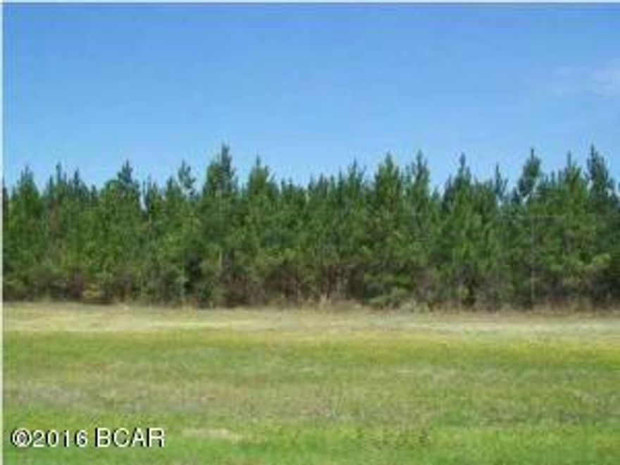 GREAT opportunity to own 20 acres with 1175 sq ft of Hwy 90 Frontage in Marianna. There is some wet areas on the East side of the property that may be unsuitable for building. 4 acres was zoned MUUT, Mixed-Use-Urban-Transitional, which would allow multi-family units, SF homes or light commercial such as convenience store.