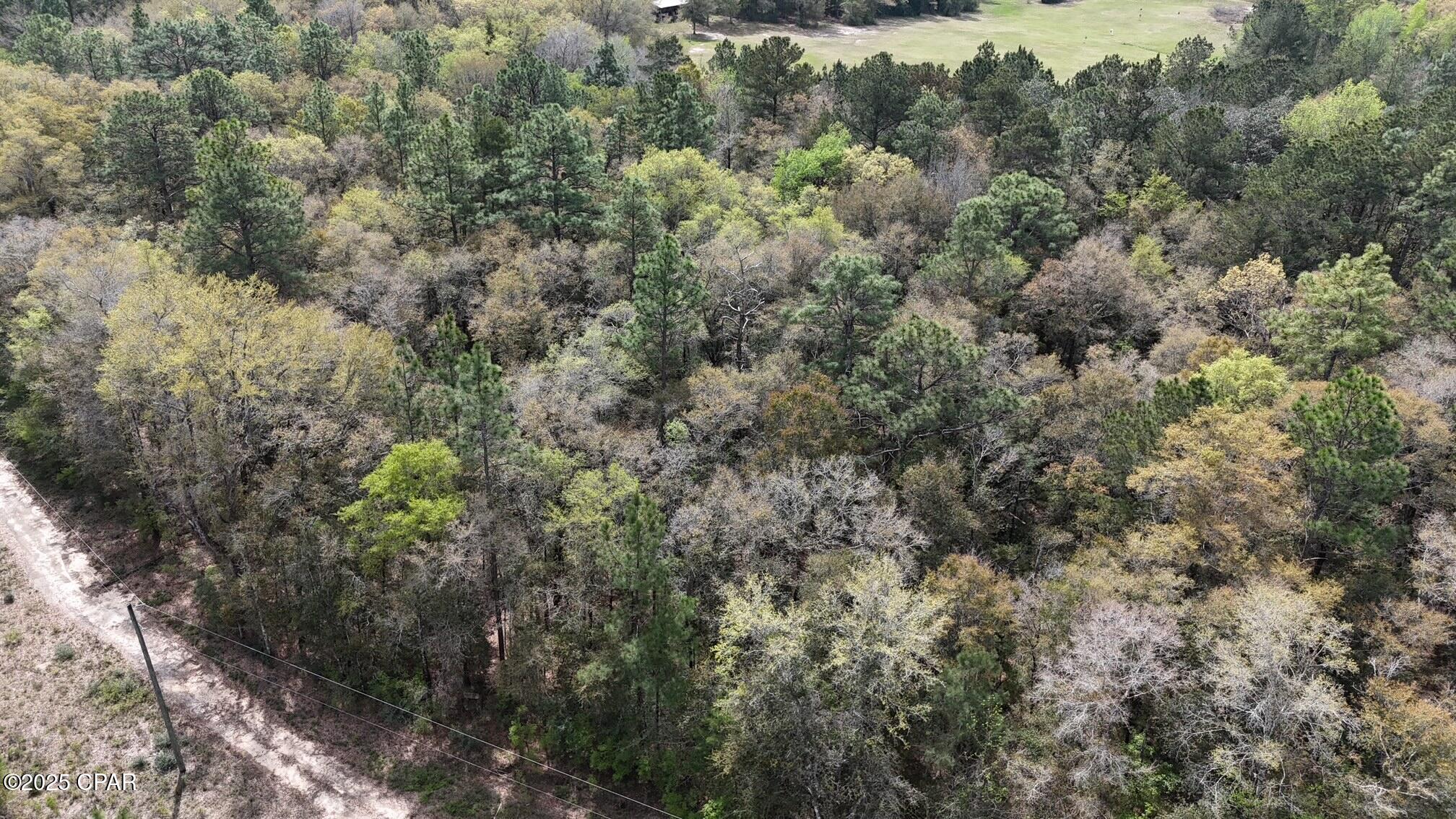 Dogwood Lakes - Land