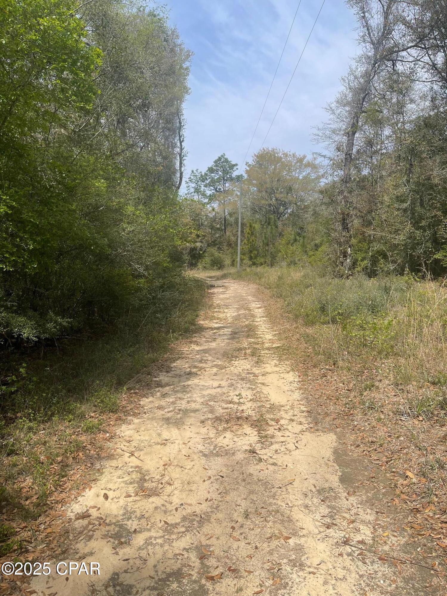 Dogwood Lakes - Land