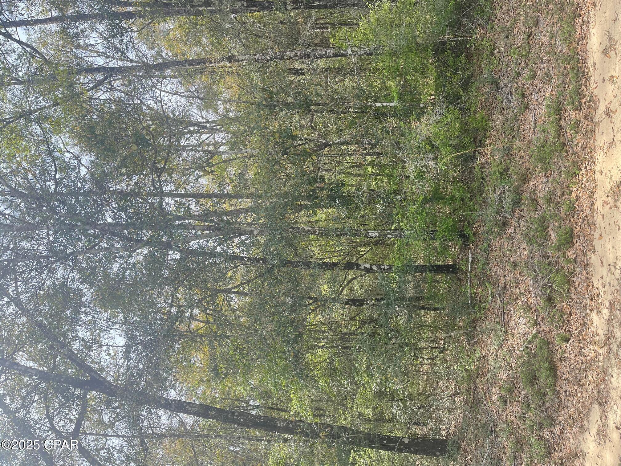 Dogwood Lakes - Land