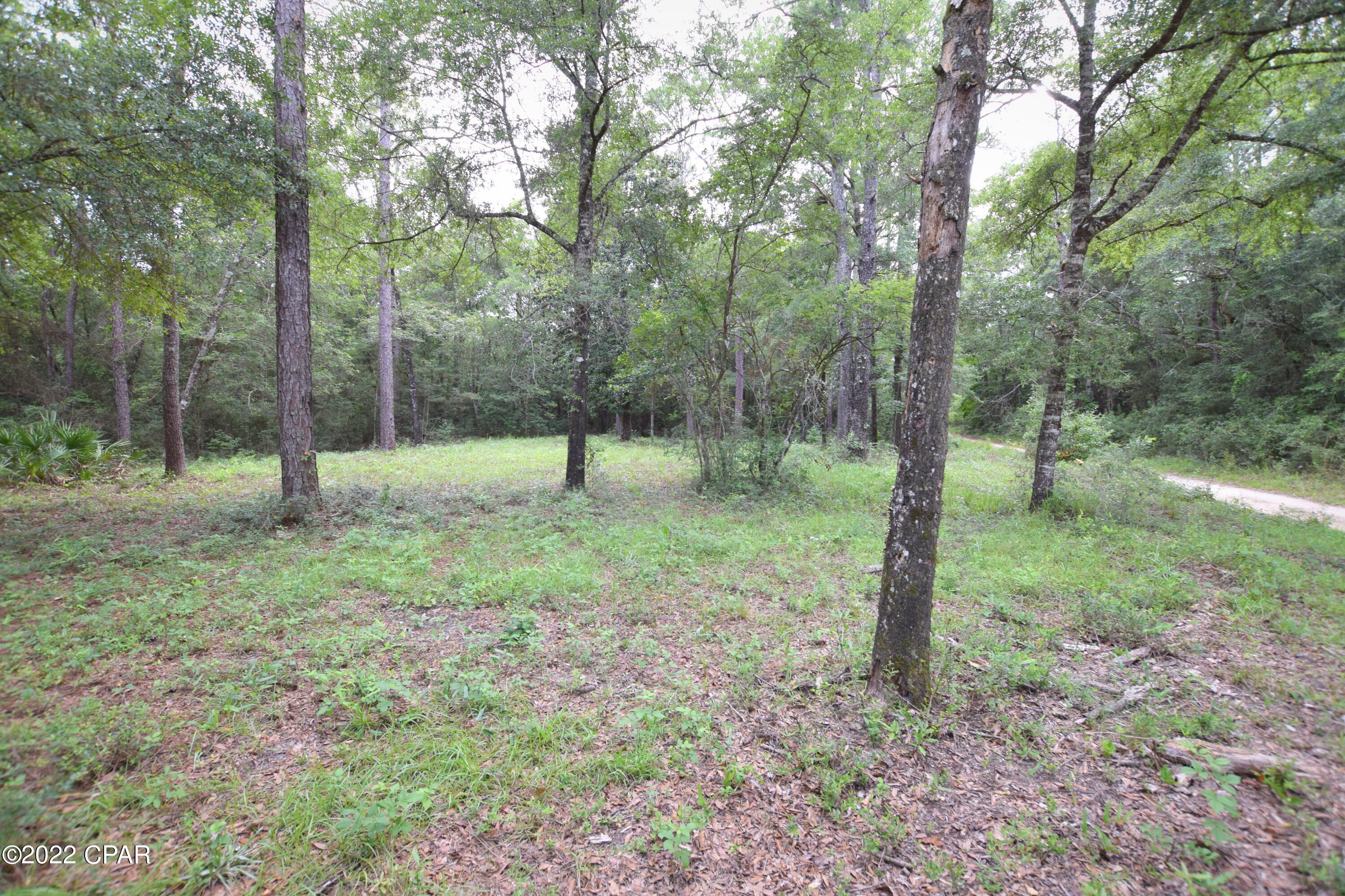 Choctawhatchee River Campsites - Land