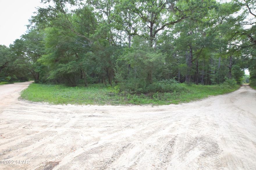 Want a weekend get-a-way convenient to the river and boat ramp? These wooded lots total 0.44 +/- acres and are a great spot to make your own and enjoy the beauty of the outdoors. Property is located just minutes from Interstate 10 and the Choctawhatchee River!