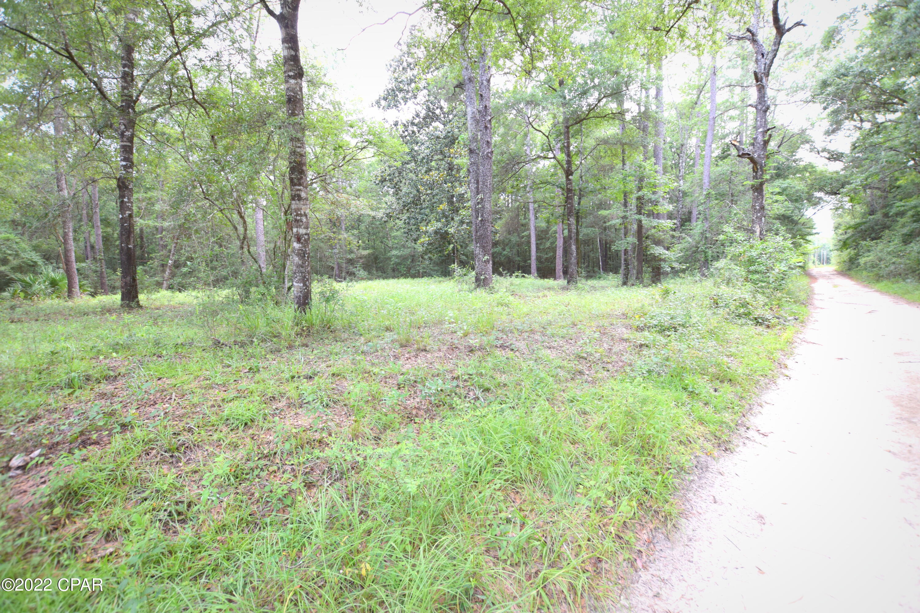 Choctawhatchee River Campsites - Land