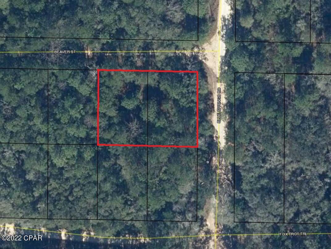 Choctawhatchee River Campsites - Land