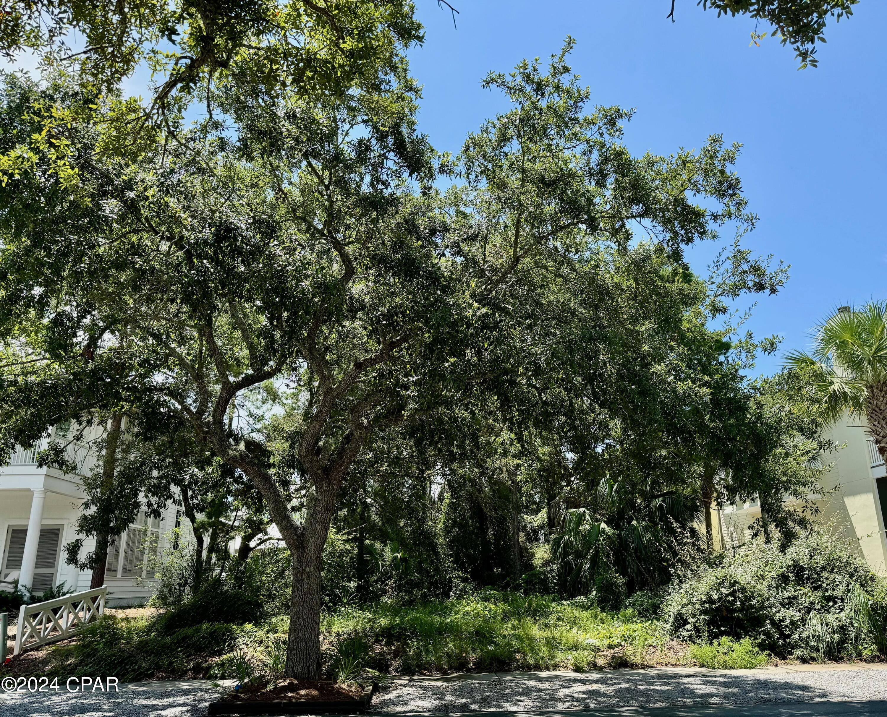 Carillon Beach - Land