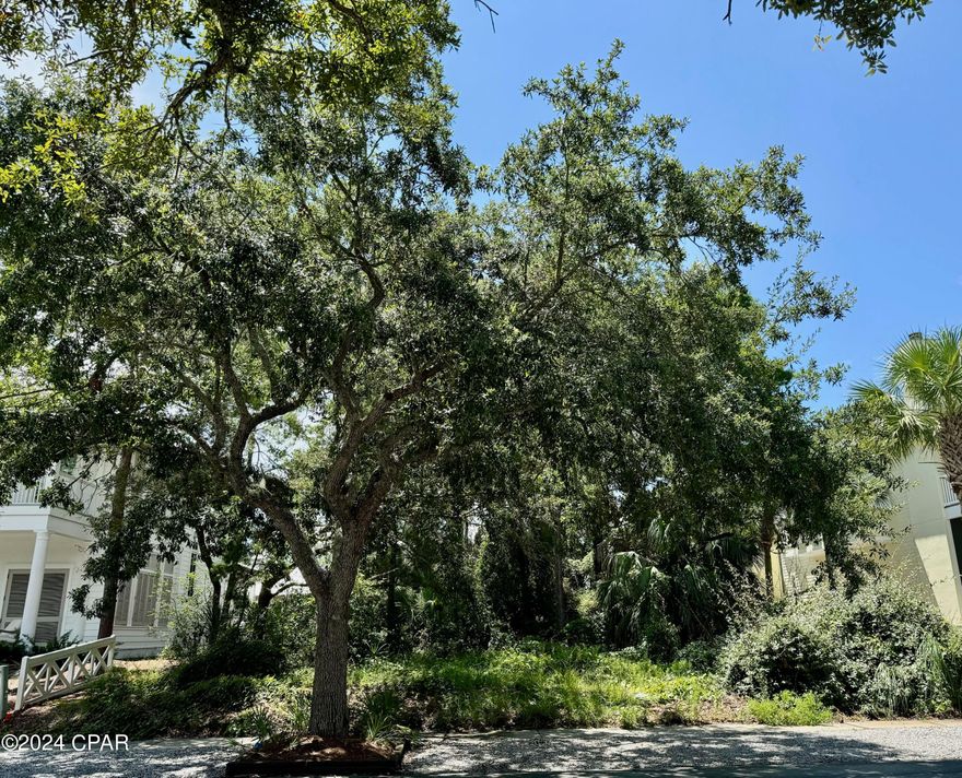 Welcome to the last available lot on Carillon Avenue, in the private gated beachfront community of Carillon Beach.  This lot will offer unparalleled luxury and serene vistas, creating a unique ambiance of tranquility and grandeur. Poised as a beacon of architecture and design, this lot and its future home promise serene mornings and peaceful evenings. Located within the vibrant community, residents benefit from high-end amenities and privacy that only a gated enclave can offer. Immaculate beaches, three community pools, pickleball and tennis courts, and meticulously maintained landscapes are just a few luxuries provided. Take this opportunity to own a slice of paradise where luxury meets comfort and style meets substance.  Lot allows a main house and guest house or carriage house.