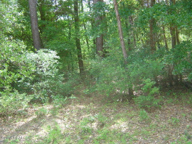 Compass Lake Hills Unit 6 - Land