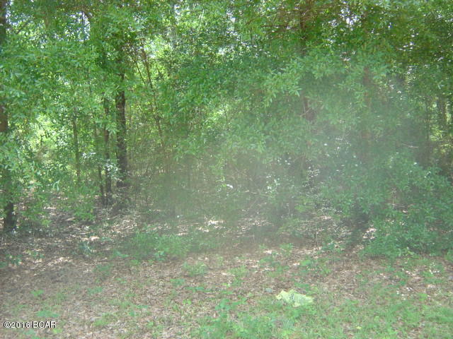 Compass Lake Hills Unit 6 - Land