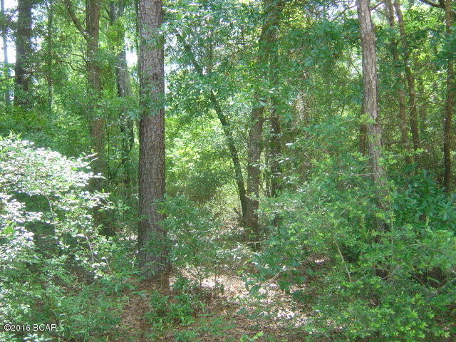 Compass Lake Hills Unit 6 - Land