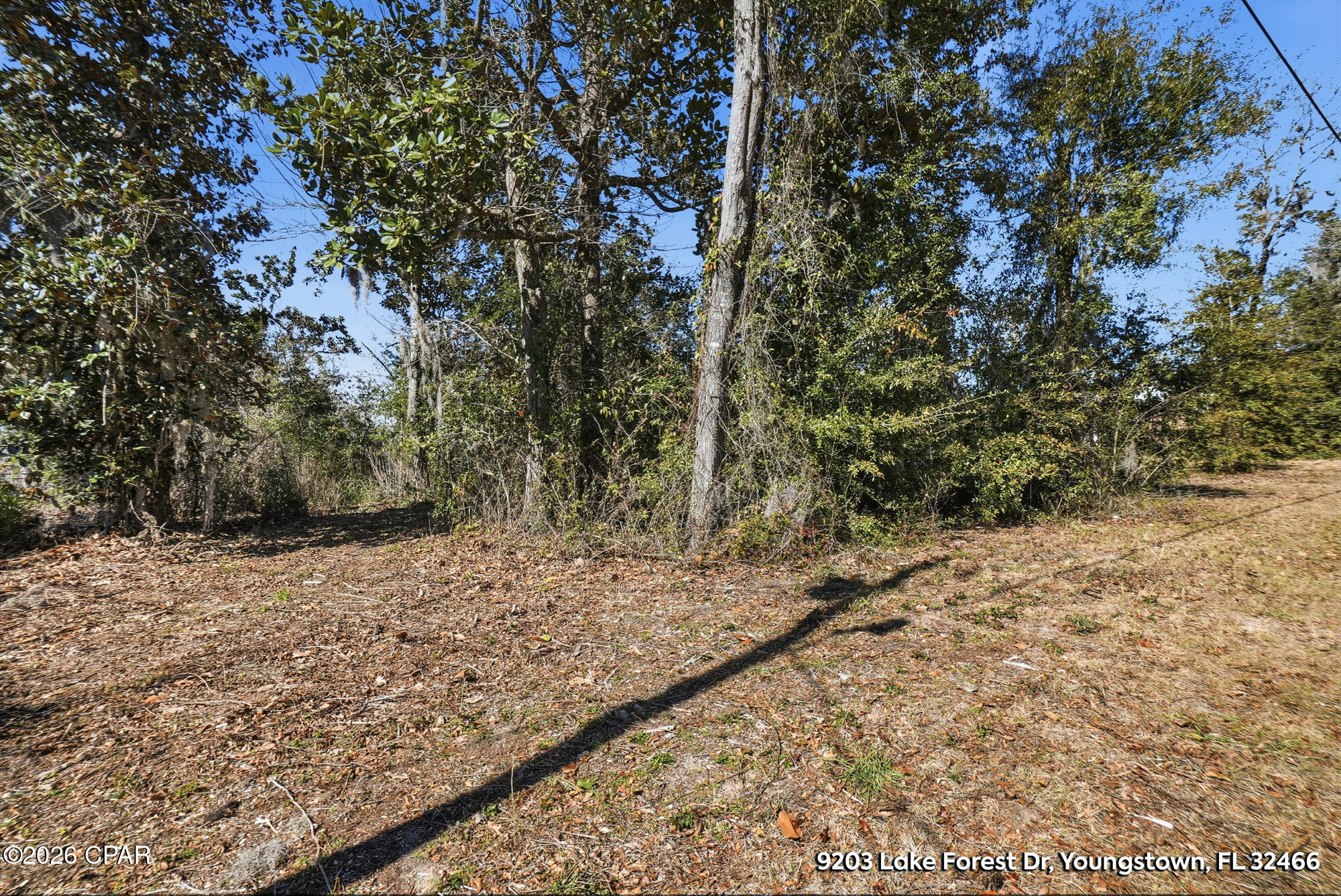 Lake Forest Estates - Land