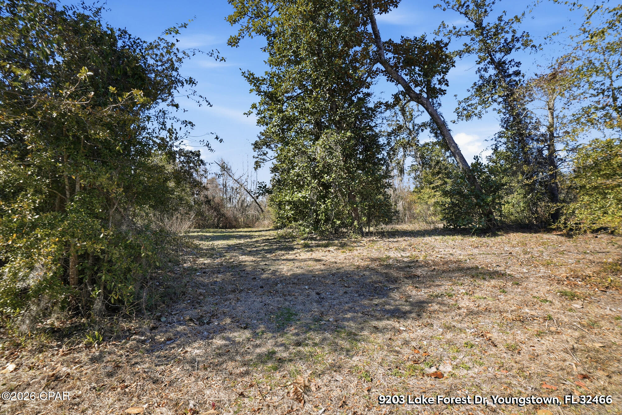 Lake Forest Estates - Land