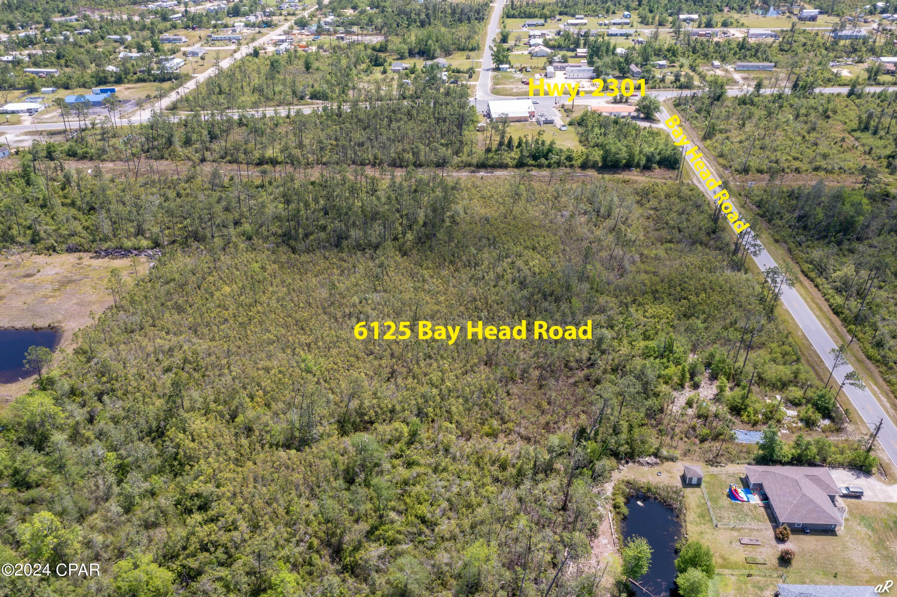 Main image without alt text