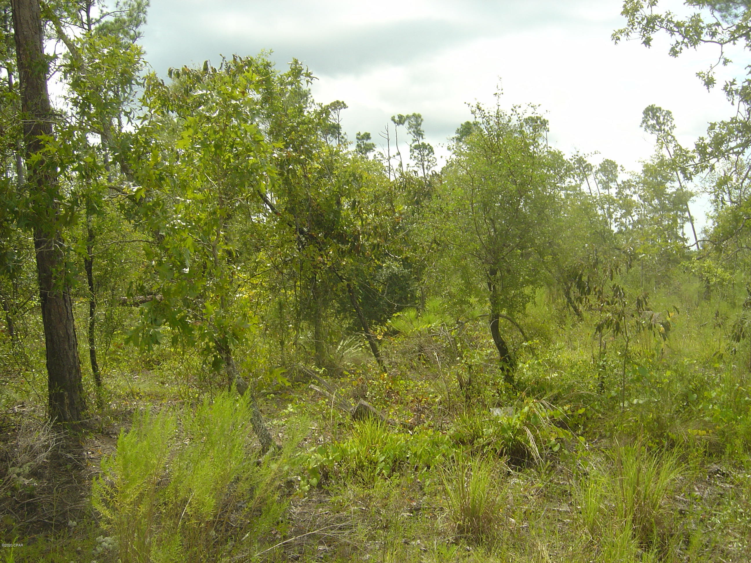 Compass Lake Hills Unit 5 - Land