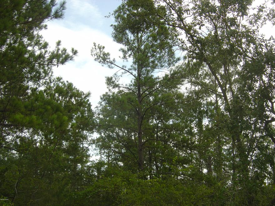 Nice Cormpass Lake in the Hills lot with all the amenities of CLH and near McCormick lake.