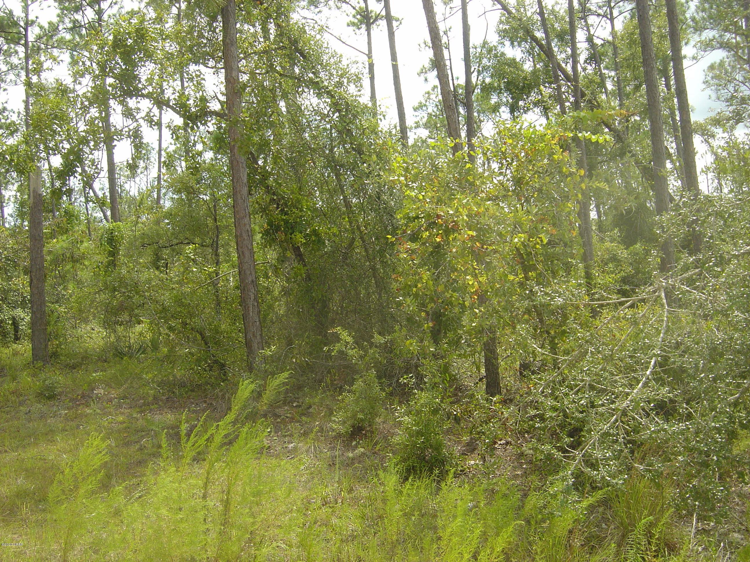 Compass Lake Hills Unit 5 - Land