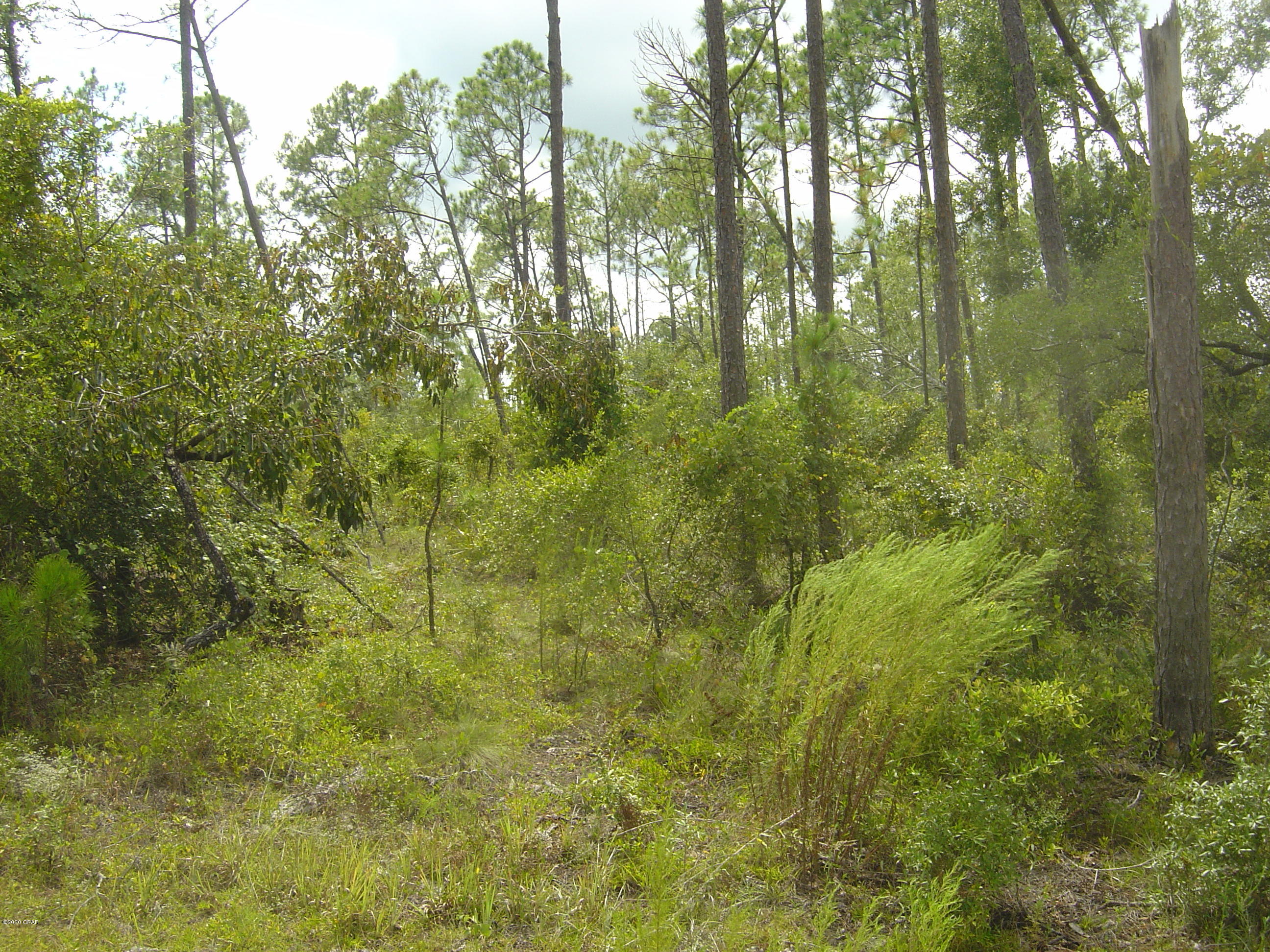 Compass Lake Hills Unit 5 - Land