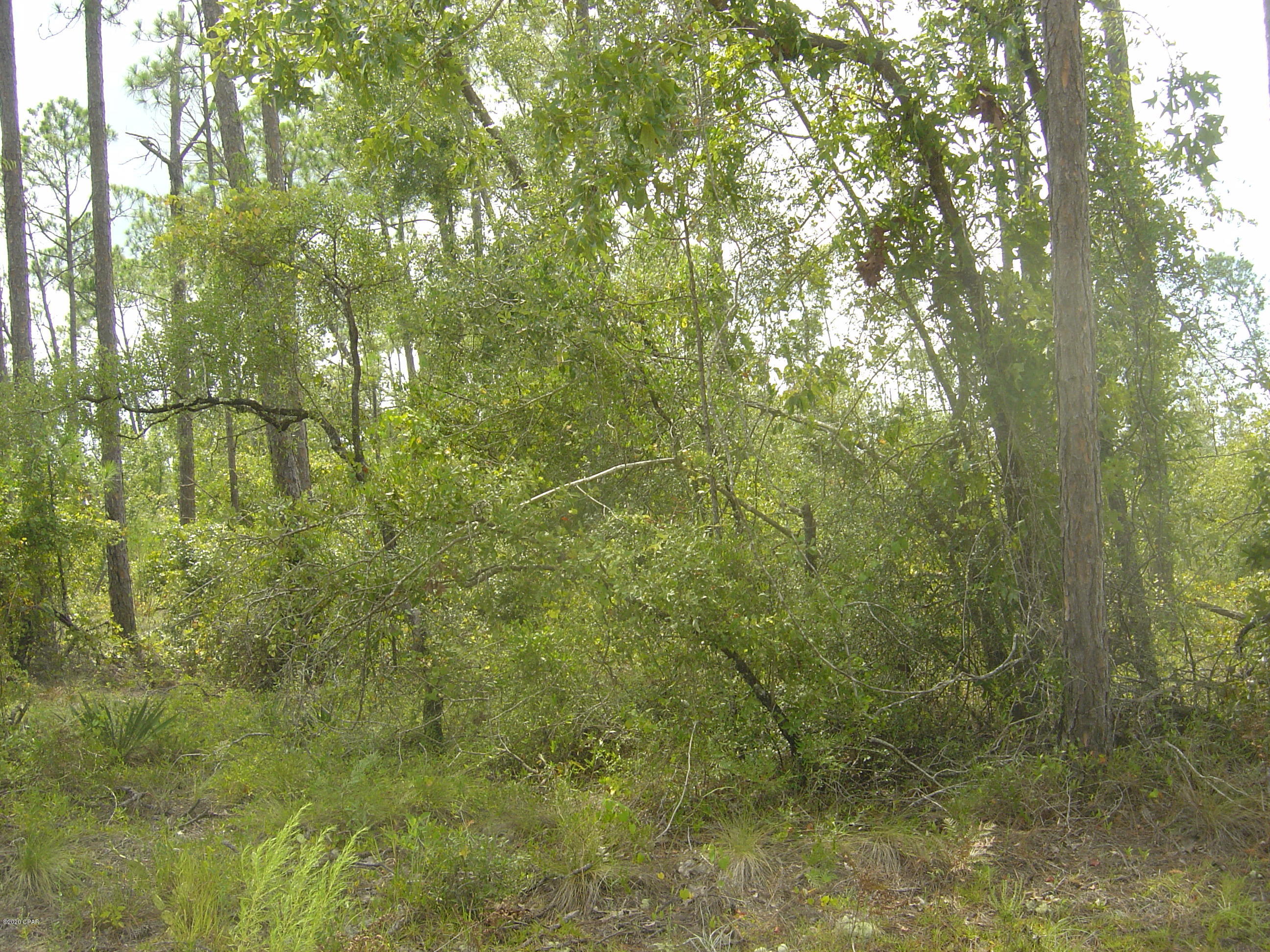 Compass Lake Hills Unit 5 - Land