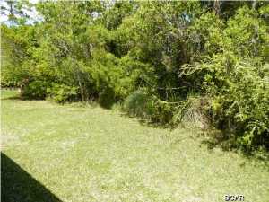 Palmetto Trace Phase 1 - Residential