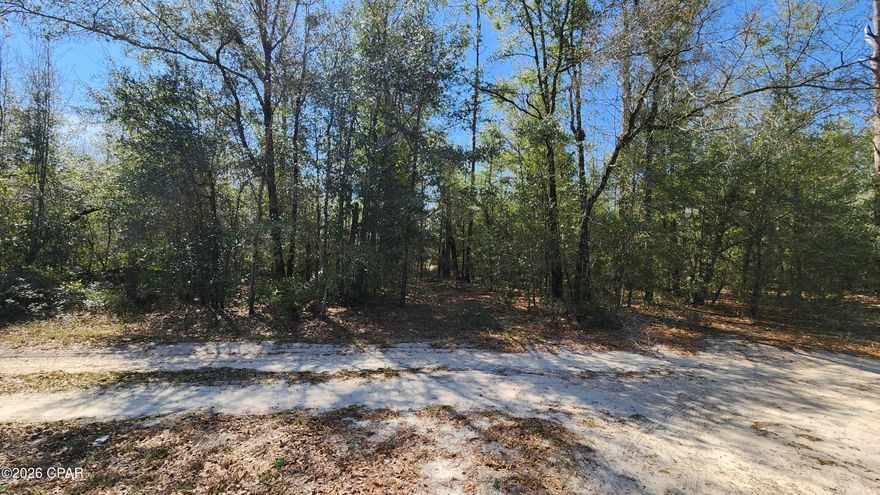 Vacant residential lot measuring approximately 74 x 134 ft located in a quiet, secluded area of Bay County, Florida. Zoned R-2, allowing for site-built single-family homes or manufactured homes, offering flexibility for a variety of residential uses.

Conveniently situated approximately 1 mile north of Hwy 20 off Hwy 231, with easy access to major routes. Property is located approximately 20 miles south of Interstate 10, providing a straightforward commute to surrounding areas.

Ideal opportunity for new construction, manufactured home placement, or investment.