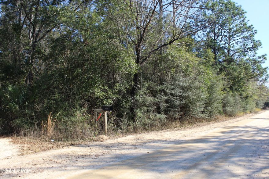 Welcome to Ebro with 5 pretty wooded acres to carve out as you wish. Location is sweet for a Country feel but convenient to the Choctawhatchee River, our Gulf Coast or the nearby towns in either direction for work or play or just nestle in for relaxing evenings away from the hustle.
Call today to schedule your private showing or if you prefer, take a look we won't mind.