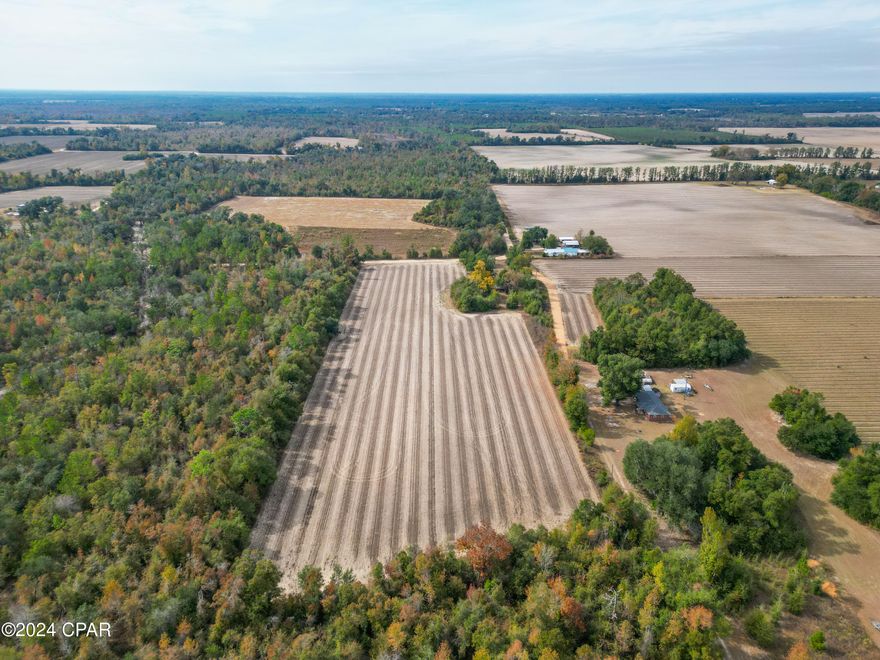 Discover the charm of rural living with this 10-acres of cropland in the beautiful Florida Panhandle! Rich in wildlife, particularly evident through abundant deer sign, and having undergone recent peanut cultivation, this property offers a unique blend of natural beauty and agricultural potential. The property features a concrete block structure that was once a workshop/apartment but will need a complete remodel to be habitable. Ideal for remodeling into a barndominium or a workshop next to your dream home! Embrace the tranquility of country living and the potential for your dream home or agribusiness ventures on this versatile acreage!