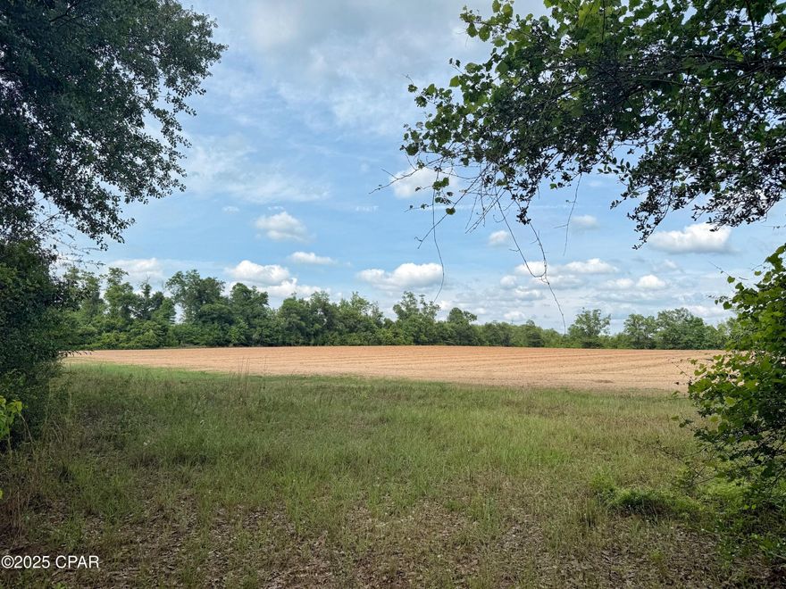 Great opportunity to own your own mini farm or buy this 20 acres to build your dream home. No restrictions apply; mobile homes, site built homes, and animals/livestock are allowed.  Approximately half is cleared farmland and half is natural growth wooded property with some low land. There is a ton of wildlife here, perfect for hunting or recreational trail riding, or just enjoying a peaceful retreat.