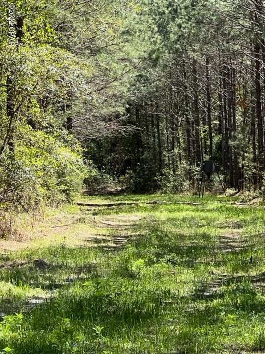 406 +/- acres, recreational land, loaded with deer, turkey and ducks. Very secluded.