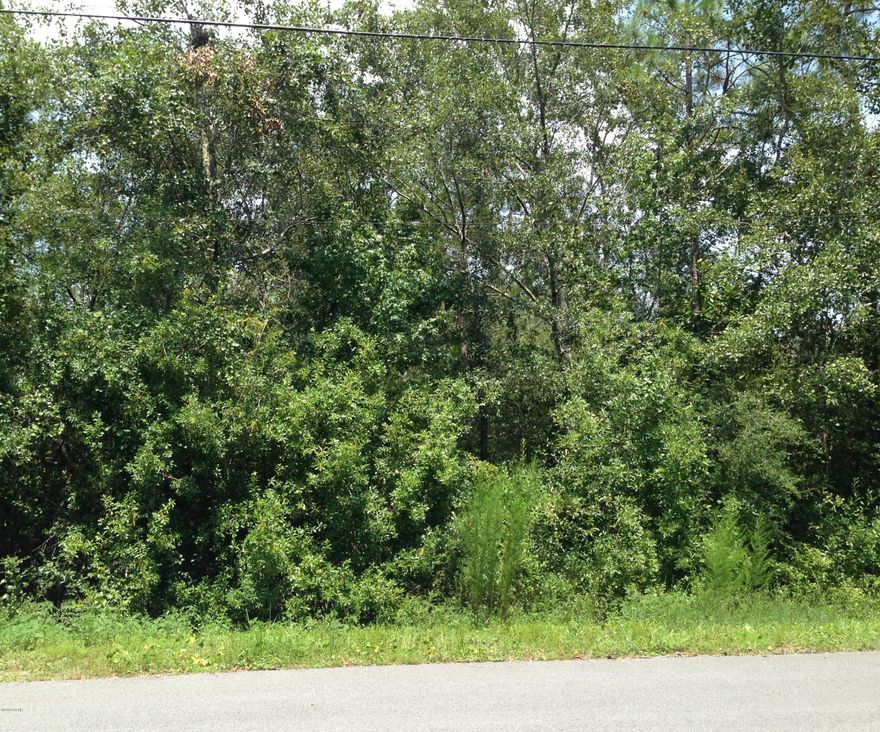 Great residential lot for a site build. Close to shopping at Pier Park, 30A, Frank Brown Park and the Beaches.

Going to Sell.  Send us your Best Reasonable Offer!



Neighbor Will tell you this Lost is Unbuildable, but look at DEP Permits on the Document section!

We have obtained a permit for the property and the Buyer should Investigate and see if any additional permits are necessary, or if what the buyer wants to do on the property is allowed.



The Permit is completed, you can verify with Bethany Womack at Cypress Environmental. 

You should confirm all information Cypress Environmental at (850) 481-6824