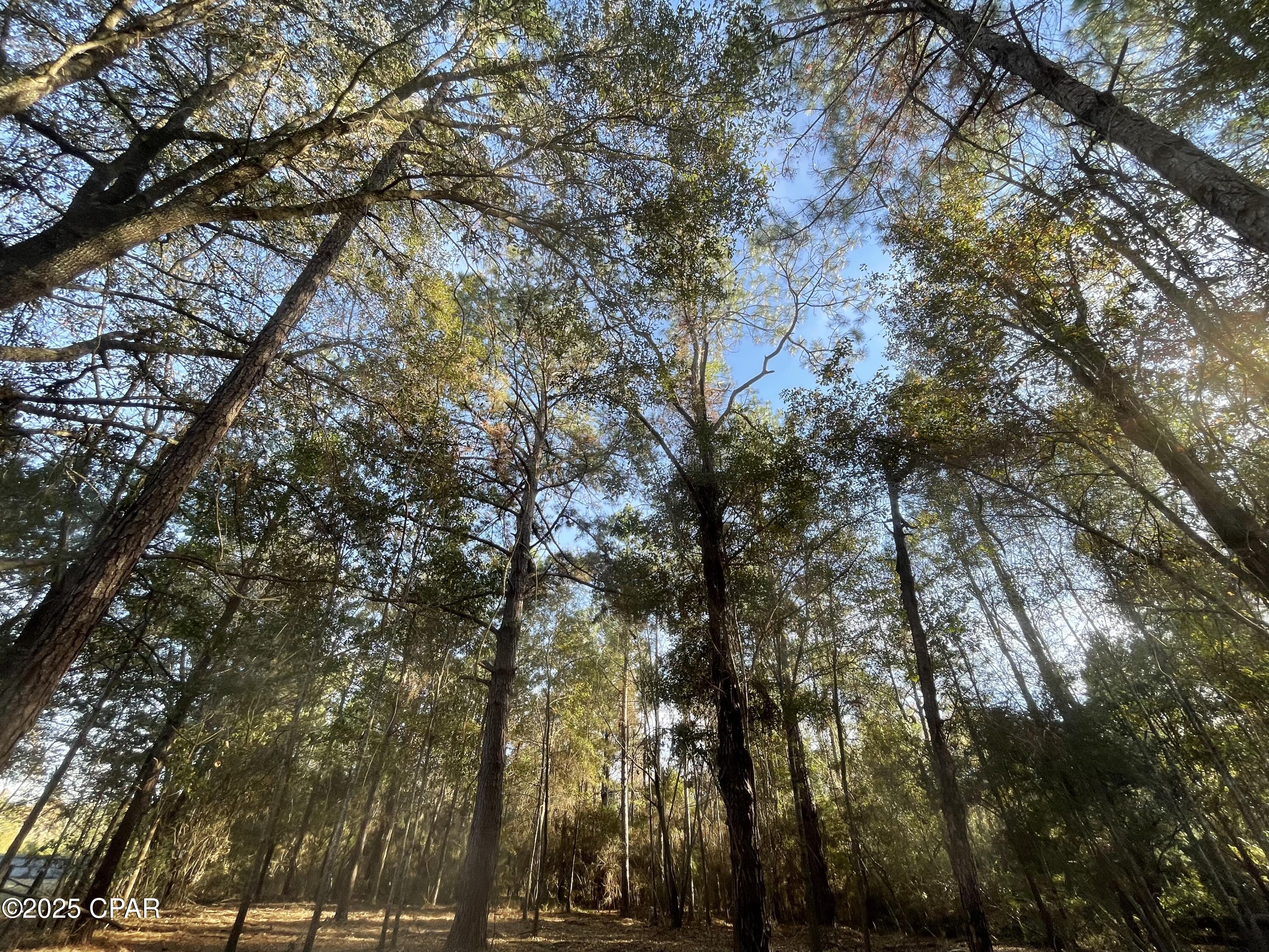 [No Recorded Subdiv] - Land