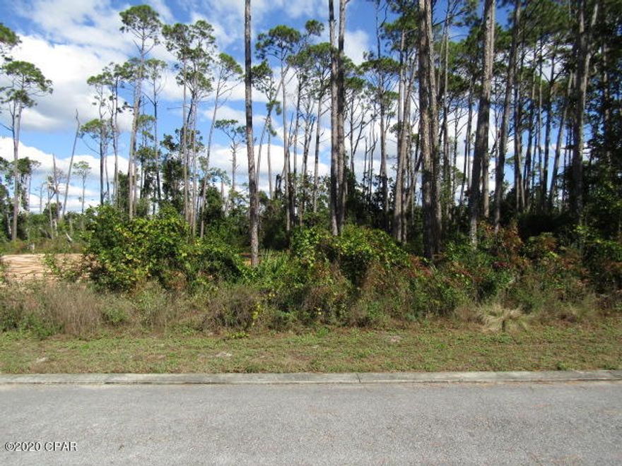 The best kept secret on Panama City Beach - Sanctuary Beach subdivision - gated, private, underground utilities including natural gas, community swimming pool, low association fees -- A Homeowner's Dream! Located between Bay Point and St. Andrew Bay (No Sign)