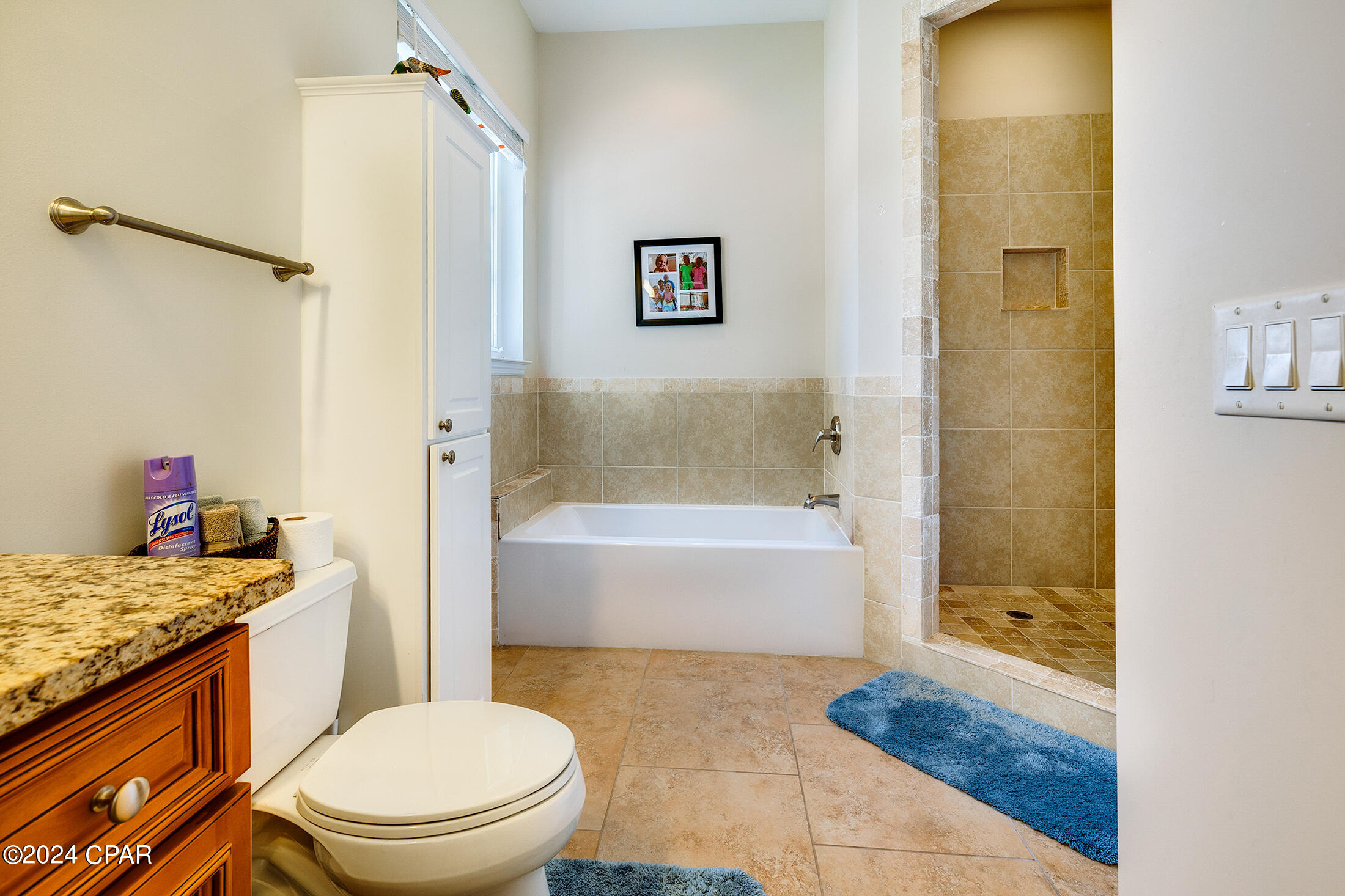 Tapestry Park Phase I - Residential