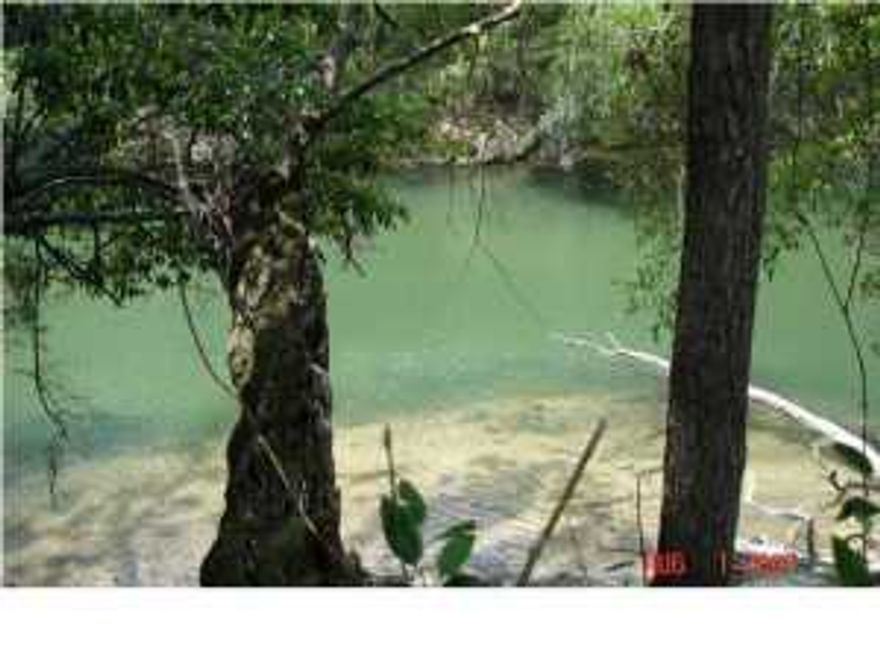 NEW....Owner will consider owner financing. Lot on Chipola River with around 161 feet on the River. Lot has Well, septic tank and power pole with RV hook up. Nice homes in the area. Copy of plat and elevation certificate on file. Beautiful lot, over 1/2 acre. Call today for an appointment to see this very desirable property.