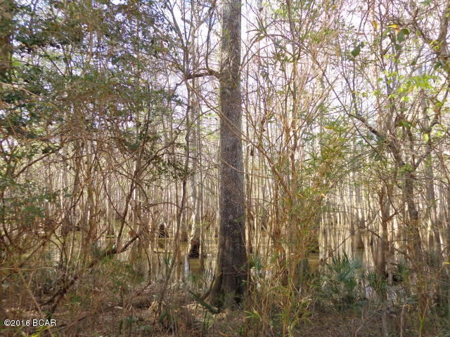 No Named Subdivision - Land