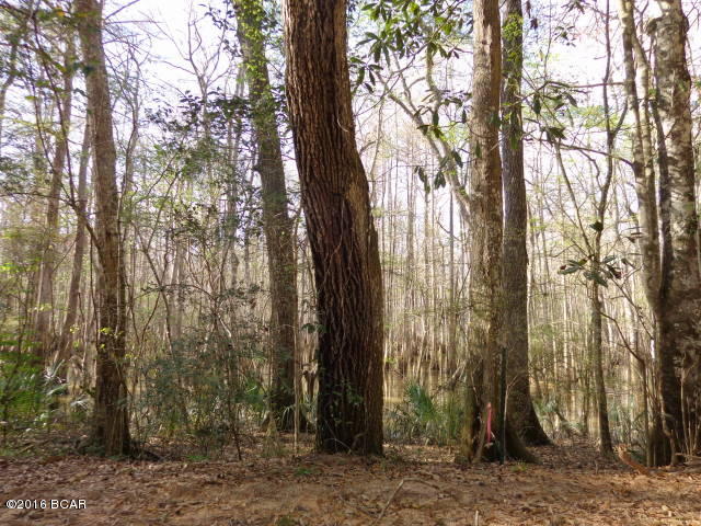 No Named Subdivision - Land