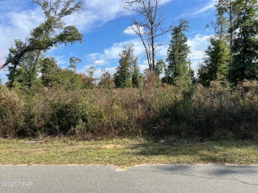 Build your dream home in Indian Springs subdivision in Marianna, Fl.  Marianna is less than an hour away from Tallahassee and home to the beautiful Merritt's Mill Pond that is fed by several underground springs making it desirable to divers, swimmers and boaters. This lot is near the club house and offers an 18  hole golf course.  There are deed restrictions that apply.  Public utilities will be offered in the near future.