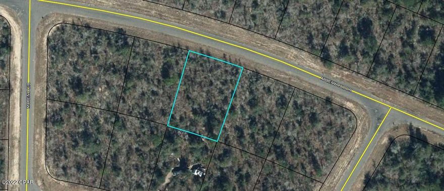 Great building lot in beautiful Chipley Florida. 

There is plenty of wildlife visiting the property like rabbits, eagles, deer ect....  and surrounding the area are numerous places to camp, swim, kayak, canoe and some of the best fishing on the planet. The property is less than an hour away from The World's Most Beautiful Beaches Panama City Beach and Famous Pier Park Shopping. Just down the road are the Marianna Caverns and Tyndall Air Force Base. There are also several State Parks near by with some of the freshest deep water springs that are crystal clear and waiting for you to jump in. Call today for your private showing.